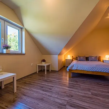 Holiday home Solna Chata-Dom Na Wylacznosc Grota Solna, Balia, Sauna, Basen *